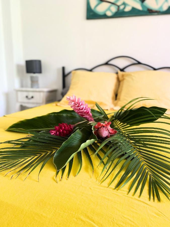 Auberge K-Wan Hostel - Proche Plages Deshaies Dış mekan fotoğraf